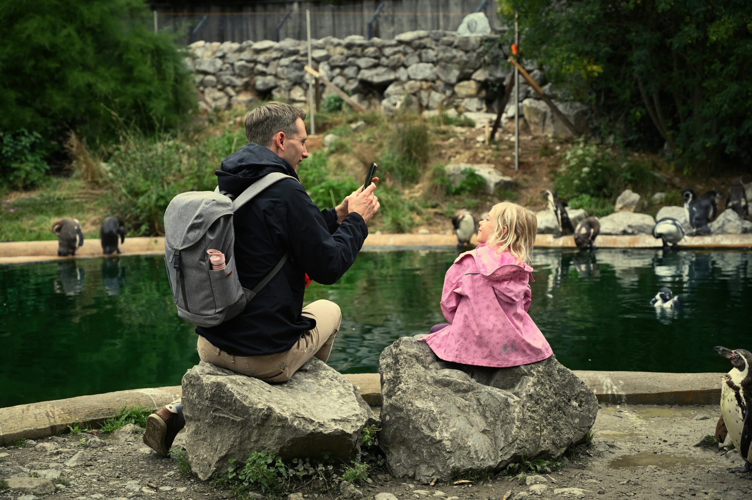 Why Visiting the Zoo is Great for Children and Families