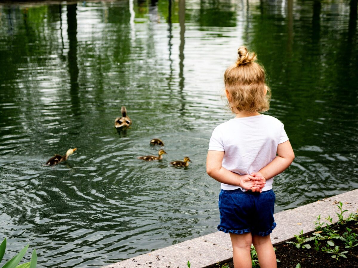 5 Best UK Parks for Kids