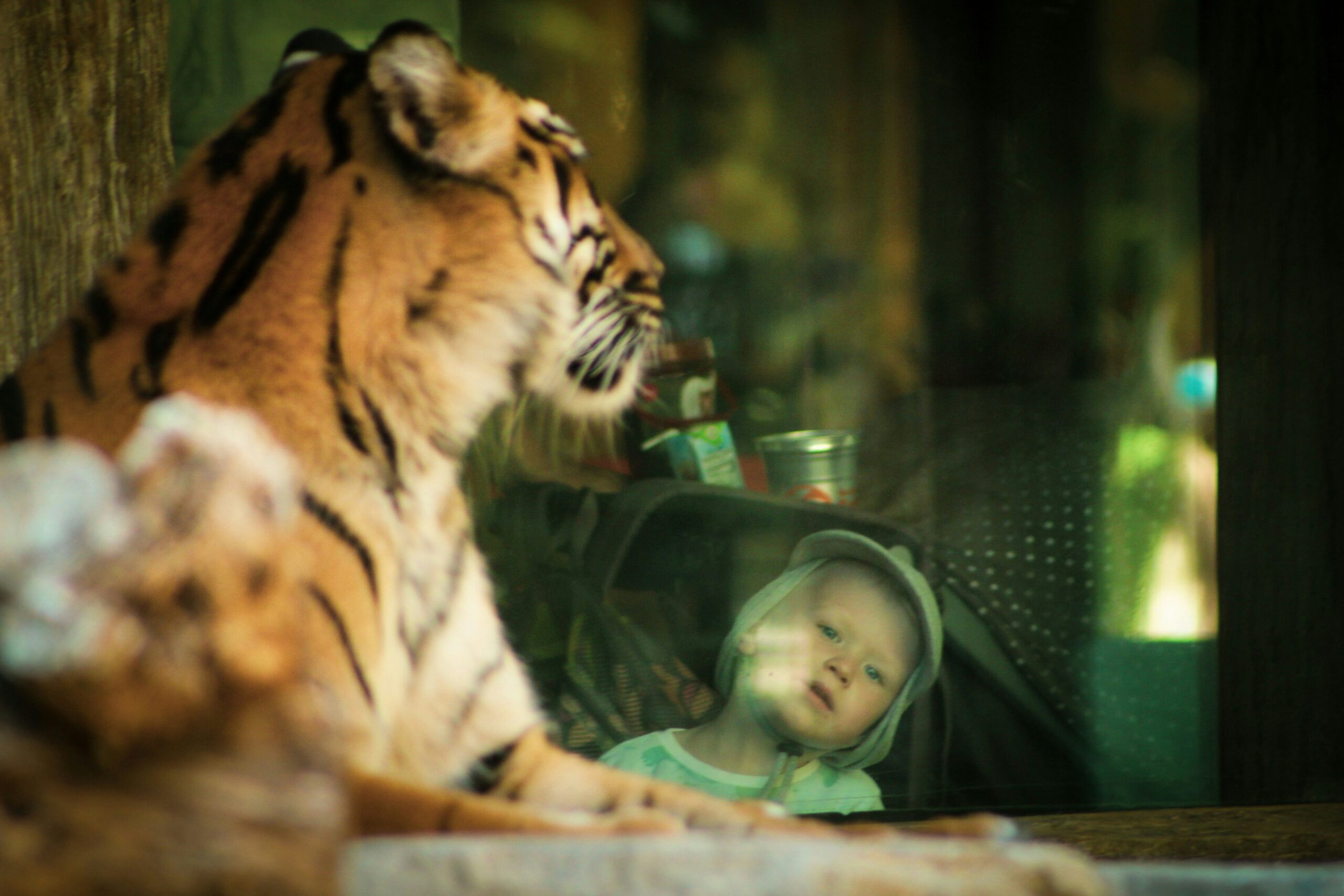 Best Zoos for Toddlers in the UK
