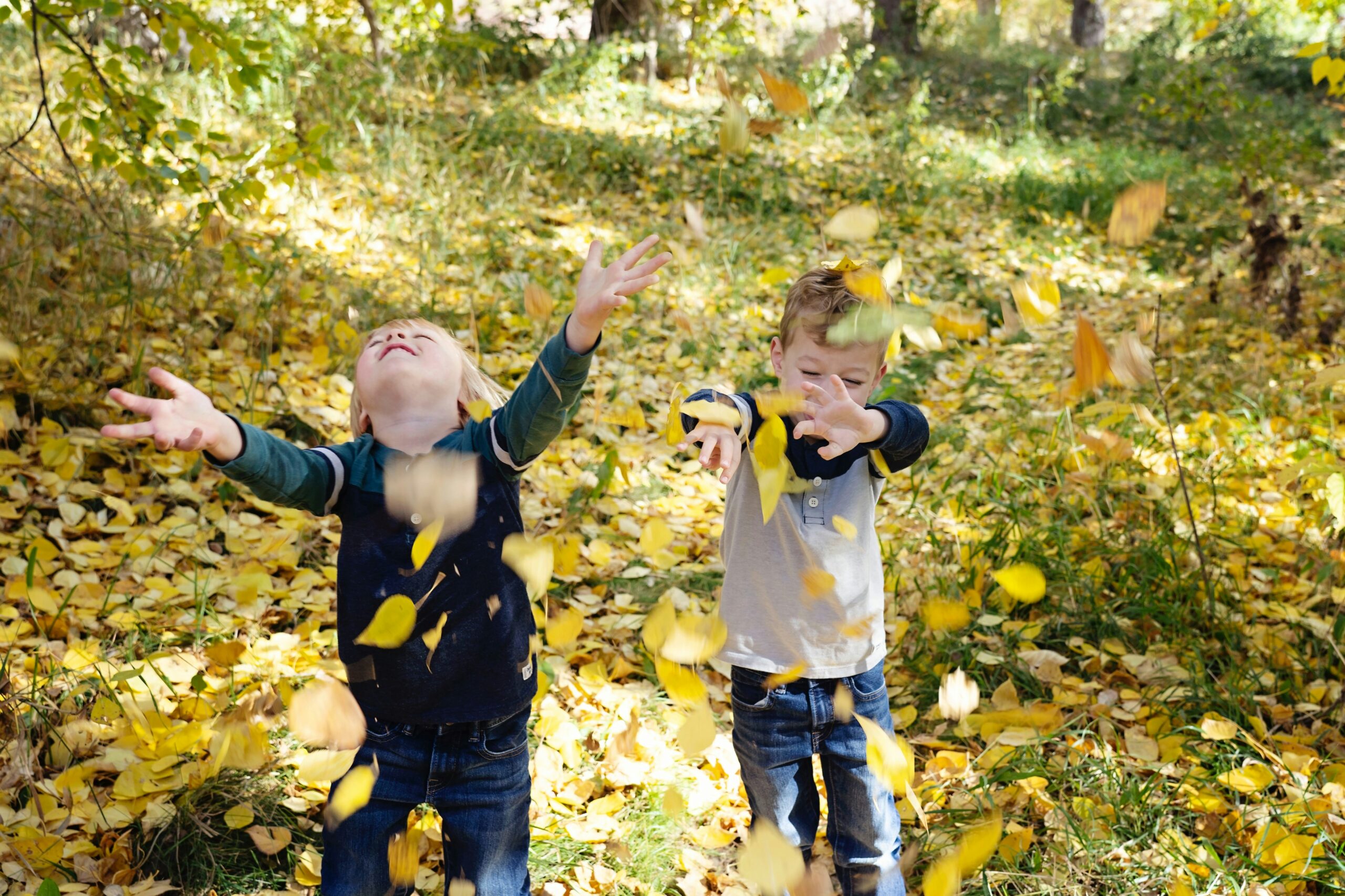 15 Cheap Days Out in the UK for Families (Fun & Budget-Friendly Ideas)