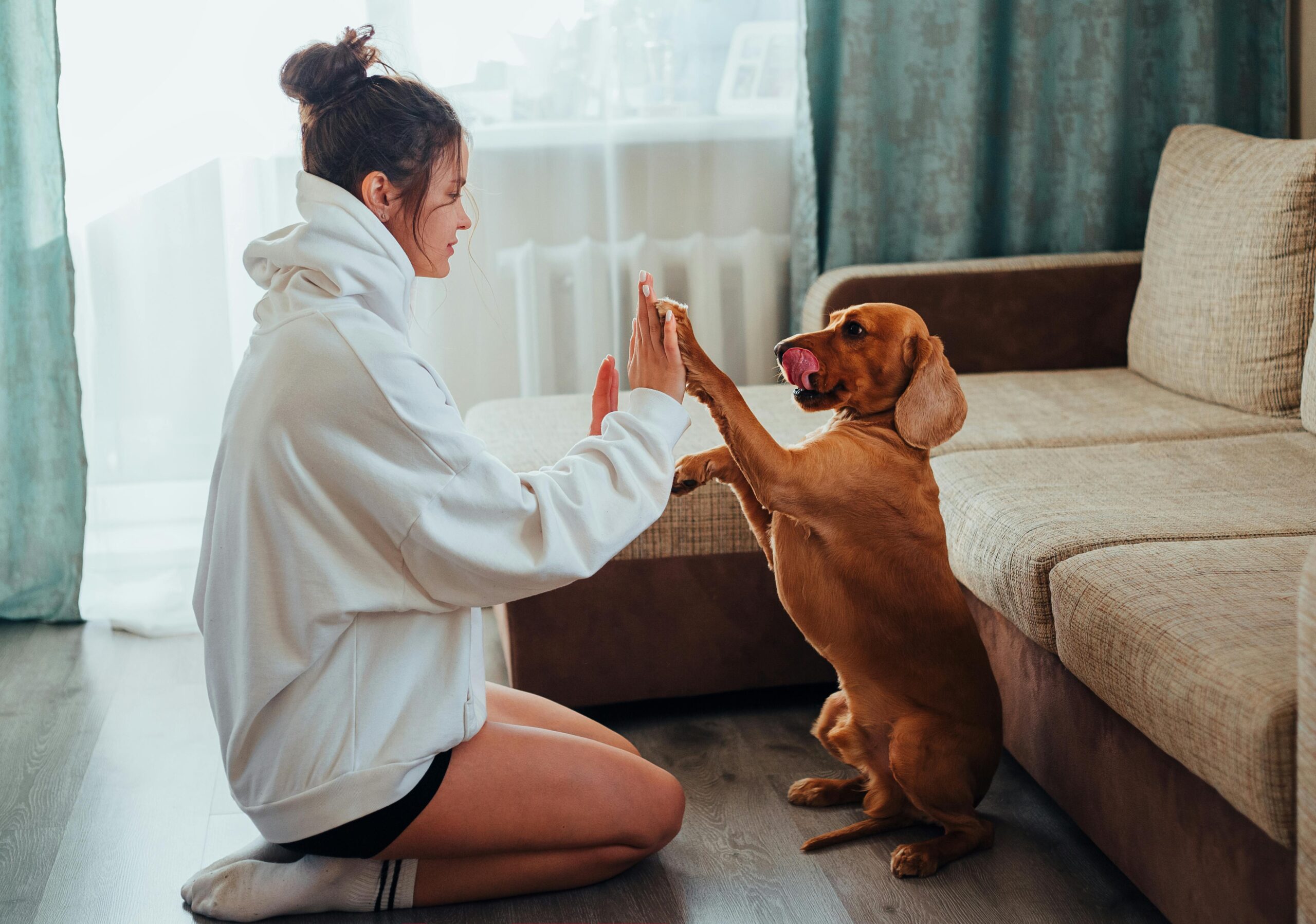 Why Dogs Follow You Everywhere (Even to the Bathroom)