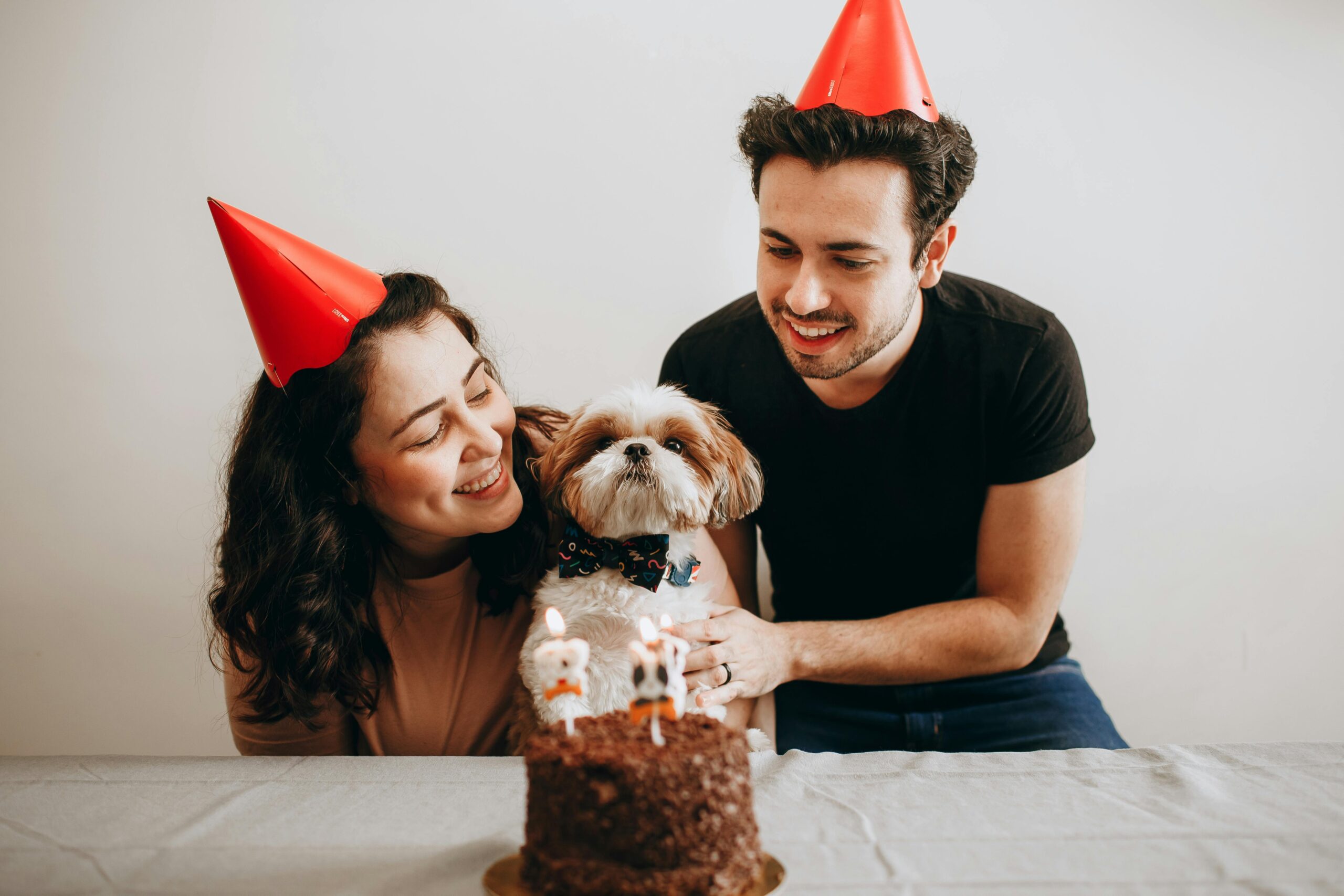 Pet Birthday Ideas: Fun & Meaningful Ways to Celebrate Your Pet