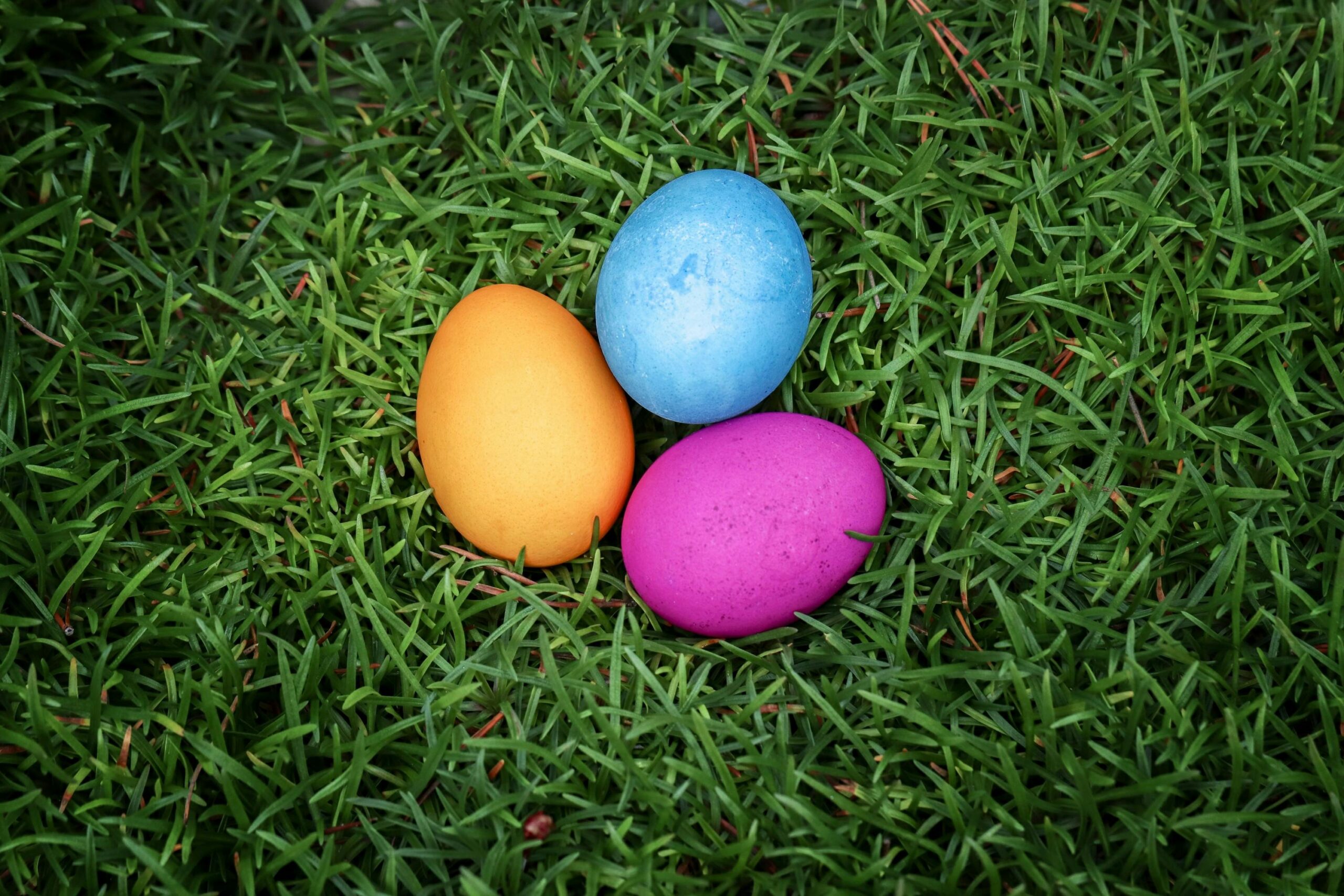 DIY Easter Egg Hunt Ideas (Fun, Creative & Budget-Friendly Guide)