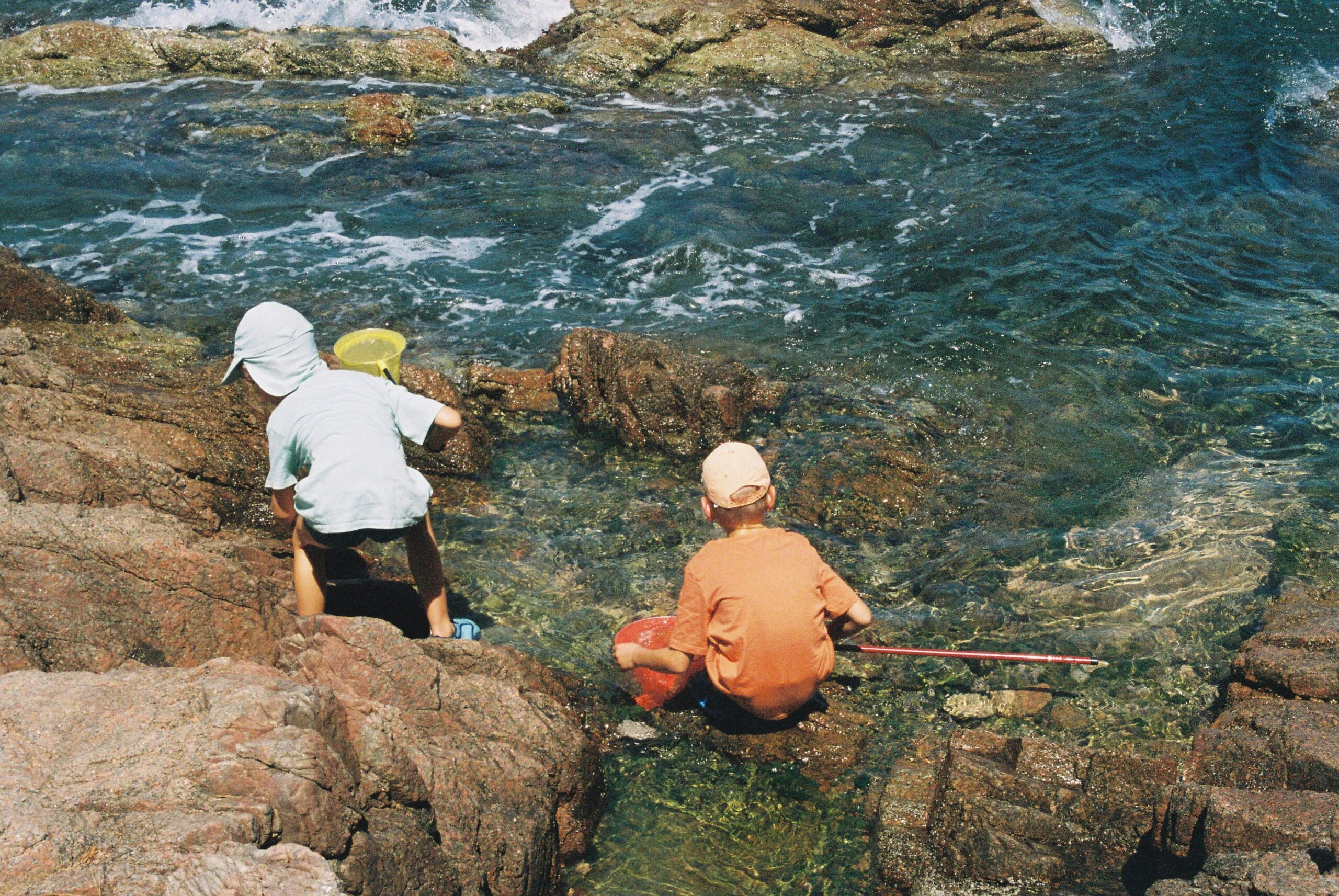 Rock Pooling Near Me: Best UK Beaches for Family Adventures