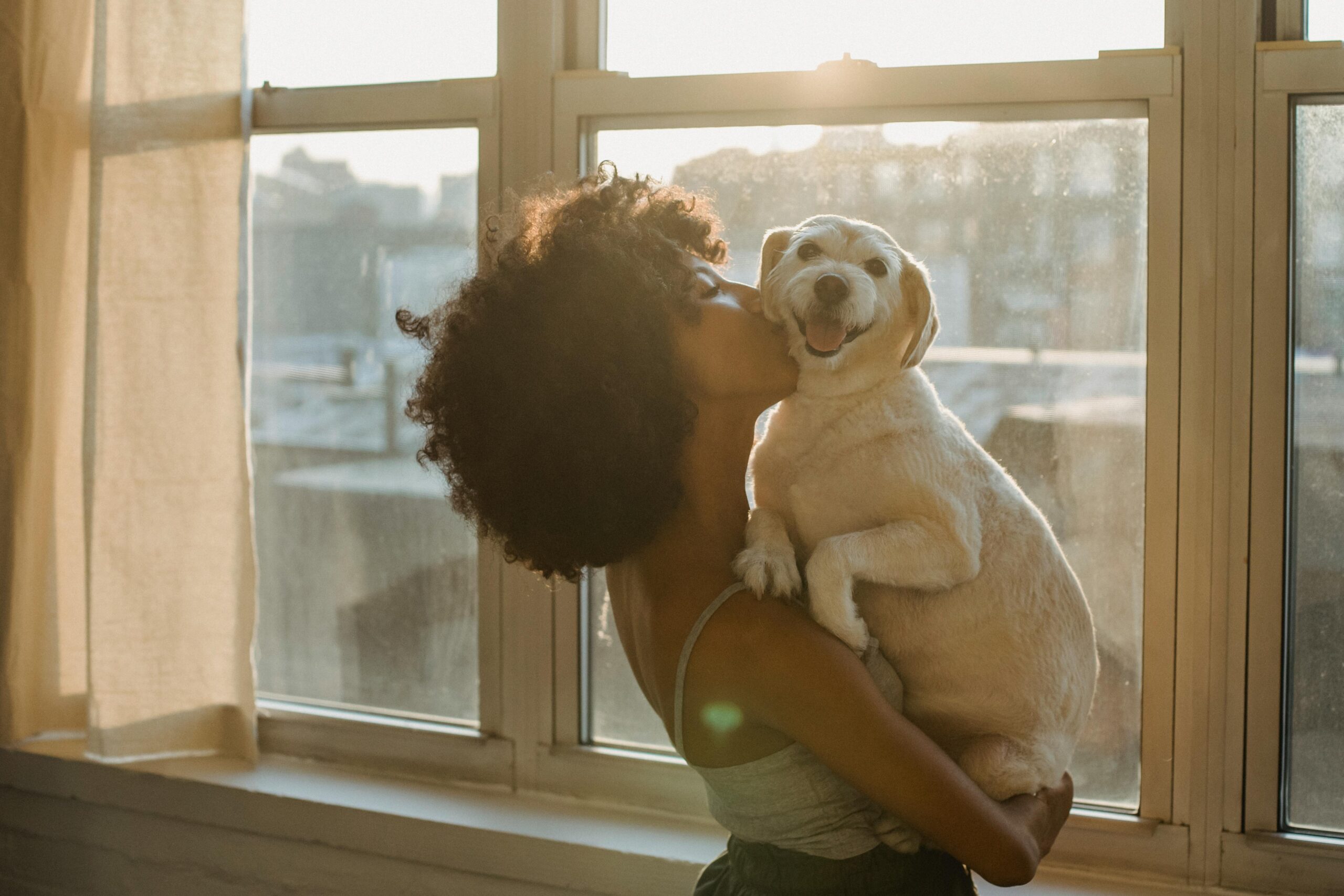 Do Pets Really Understand Human Emotions?