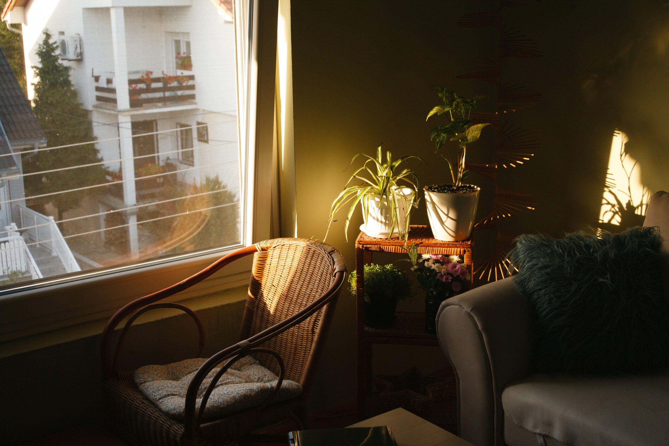 How to Create a Calm Home Environment (Even on Busy Days)